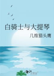 白骑士与大提琴