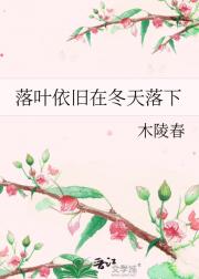 落叶依旧在冬天落下