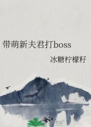 带萌新夫君打boss