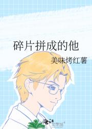 碎片拼成的他