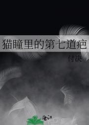猫瞳里的第七道疤