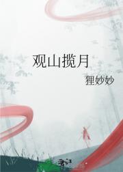 观山揽月