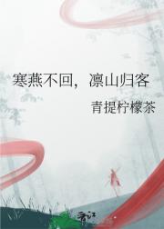 寒燕不回，凛山归客