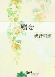 赠妾