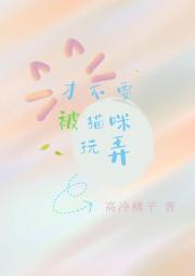 才不要被猫咪玩弄