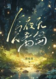 今夜无人离岛