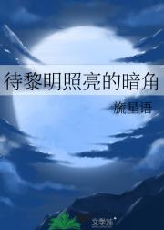 待黎明照亮的暗角