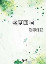 盛夏回响