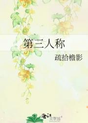 第三人称【娱乐圈】