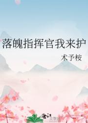 落魄指挥官我来护