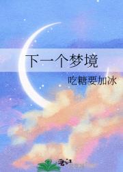 下一个梦境