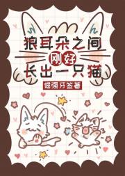 狼耳朵之间刚好长出一只猫