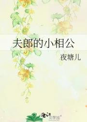 夫郎的小相公