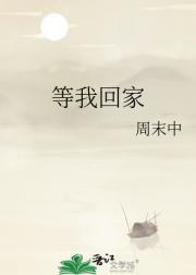 等我回家