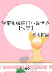 我带系统横扫小说世界【快穿】