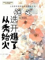 成为顶流从选秀开始