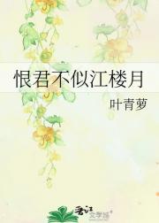 恨君不似江楼月