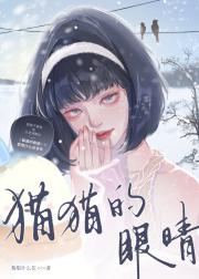 猫猫的眼睛