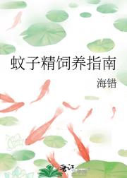 蚊子精饲养指南