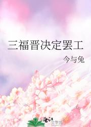 笼中鸟（清穿）