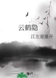 云鹤隐