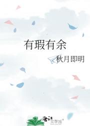 有瑕有余