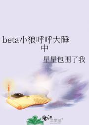 beta小狼呼呼大睡中