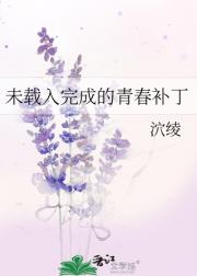 未载入完成的青春补丁
