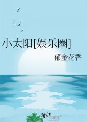 太阳里的南极星