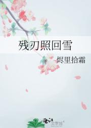 残刃照回雪