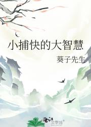 小捕快的大智慧