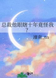 总裁他眼瞎十年竟怪我？