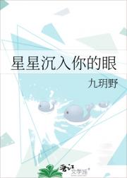 星星沉入你的眼